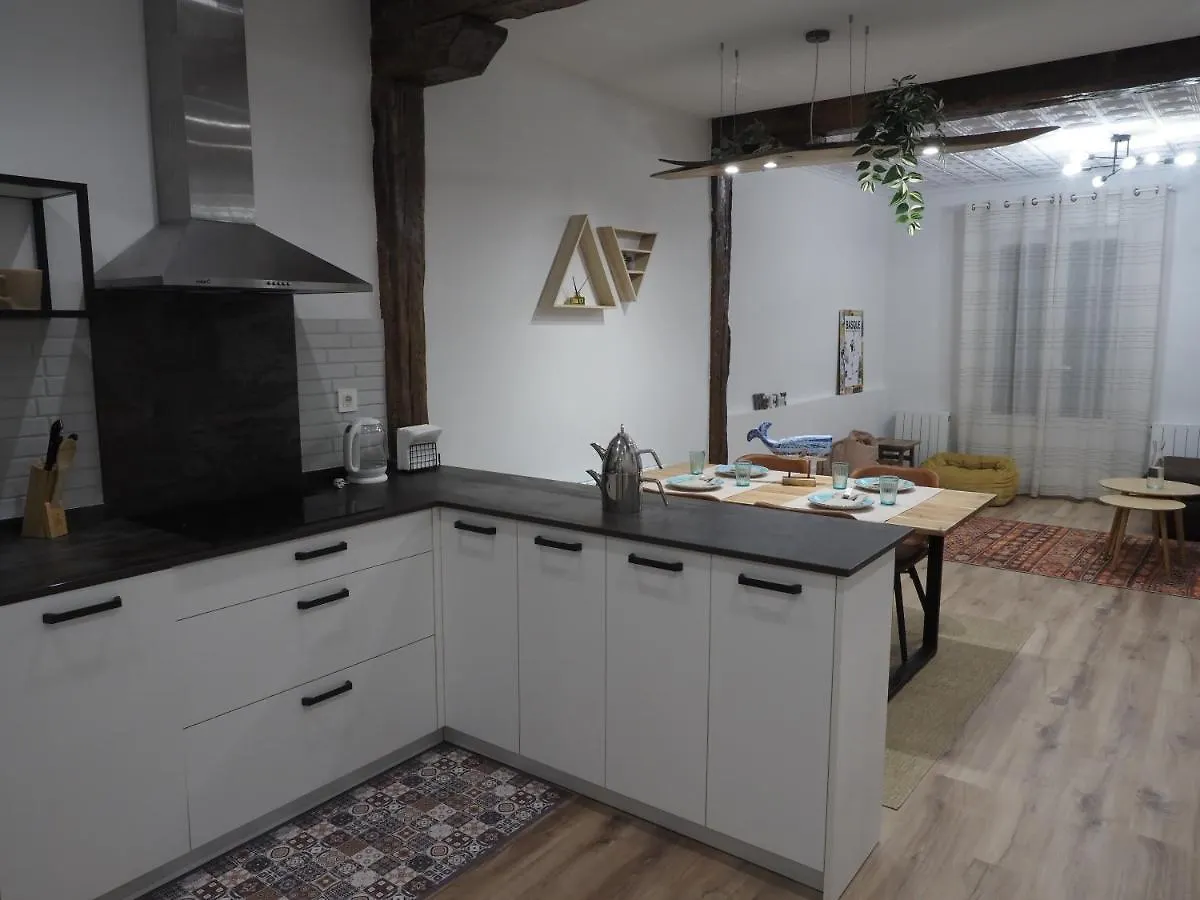 Etxe Maitia Flat Ideal For Home Office And Families And Friends Бильбао Апартаменты