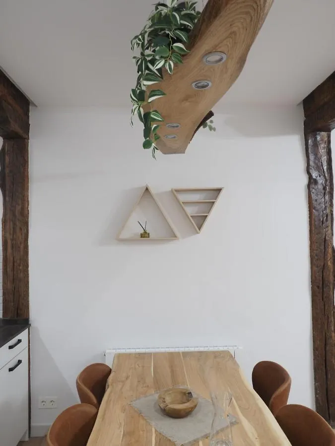 Etxe Maitia Flat Ideal For Home Office And Families And Friends Bilbao